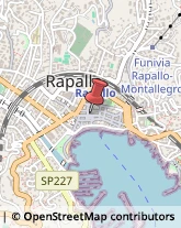 ,16035Genova