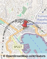 Nautica - Equipaggiamenti Rapallo,16035Genova