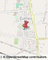 Gelaterie Gatteo,47043Forlì-Cesena