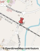 Trasporti Macchinari Forlì,47122Forlì-Cesena