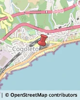 Laboratori Odontotecnici Cogoleto,16016Genova