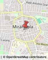 Locali, Birrerie e Pub Mirandola,41037Modena