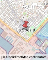 Podologia - Studi e Centri La Spezia,19121La Spezia