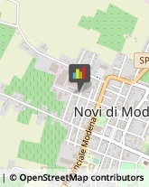 Corrieri Novi di Modena,41016Modena