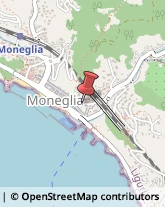 Tabaccherie Moneglia,16030Genova