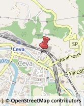 Biotecnologie Ceva,12073Cuneo