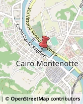 Bulbi e Sementi Cairo Montenotte,17014Savona