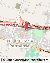 Trasportatori Meccanici,43126Parma