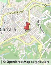 Articoli per Ortopedia Carrara,54033Massa-Carrara