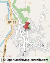 Piante e Fiori - Dettaglio Capriata d'Orba,15060Alessandria