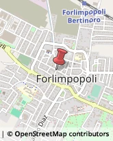 Studi Medici Generici Forlimpopoli,47034Forlì-Cesena