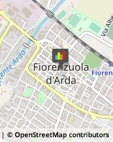 Frutta e Verdura - Dettaglio Fiorenzuola d'Arda,29017Piacenza