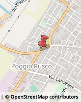 Rilievografia Poggio Rusco,46025Mantova