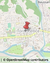 ,10066Torino