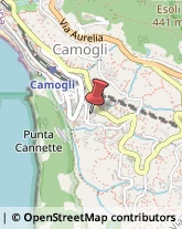 Serramenti ed Infissi, Portoni, Cancelli Camogli,16032Genova