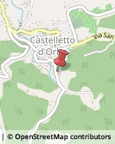 Vini e Spumanti - Produzione e Ingrosso Castelletto d'Orba,15060Alessandria