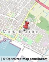 Elettrauto Carrara,54033Massa-Carrara