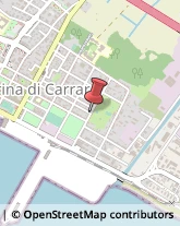 Trasporti Carrara,54033Massa-Carrara
