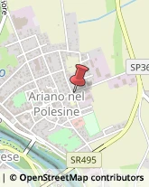 Piante e Fiori - Dettaglio Ariano nel Polesine,45012Rovigo