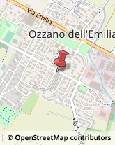 Consulenza di Direzione ed Organizzazione Aziendale Ozzano dell'Emilia,40064Bologna