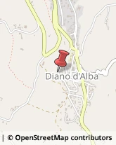 Piante e Fiori - Dettaglio Diano d'Alba,12055Cuneo