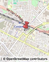 Articoli per Ortopedia Cesena,47521Forlì-Cesena