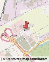 Aziende Sanitarie Locali (ASL) Cuneo,35017Cuneo