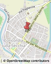 Legname da Lavoro Concordia sulla Secchia,41033Modena