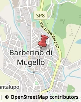 Gelati - Produzione e Commercio Barberino di Mugello,50031Firenze