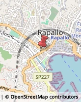 Commercialisti Rapallo,16035Genova