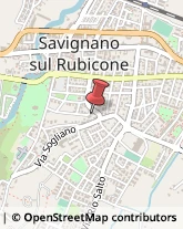 Agenzie di Animazione e Spettacolo Savignano sul Rubicone,47039Forlì-Cesena