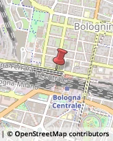 Alimentari Bologna,40129Bologna