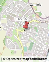 Latta Luzzara,42045Mantova