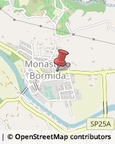 Piante e Fiori - Dettaglio Monastero Bormida,14058Asti
