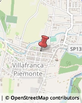 Piante e Fiori - Dettaglio Villafranca Piemonte,10068Torino