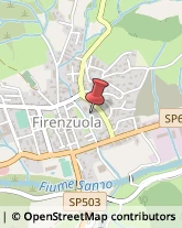 Corpo Forestale,50123Firenze