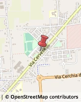 Assicurazioni Cesena,47521Forlì-Cesena