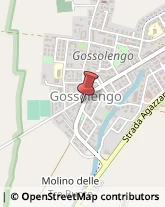 Fabbri Gossolengo,29020Piacenza