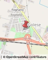 Imprese Edili,43100Parma