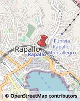 Patologie Varie - Medici Specialisti Rapallo,16035Genova