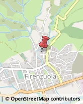 ,50033Firenze