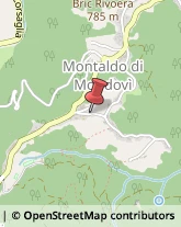 Elementari - Scuole Private Montaldo di Mondovì,12080Cuneo