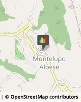 Ortofrutticoltura Montelupo Albese,12050Cuneo