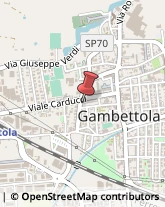 Animali Domestici - Toeletta Gambettola,47035Forlì-Cesena