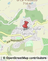 Autonoleggio Prignano sulla Secchia,41048Modena