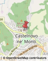 Scuole e Corsi di Lingua Castelnovo Ne' Monti,42035Reggio nell'Emilia