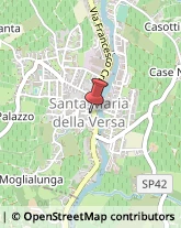 ,27047Pavia