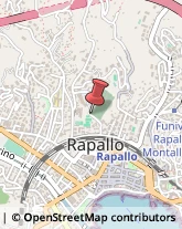 Piante e Fiori - Dettaglio Rapallo,16035Genova