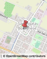 Agenzie Immobiliari Sant'Agata Bolognese,40019Bologna