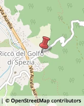 Elettricisti Riccò del Golfo di Spezia,19020La Spezia